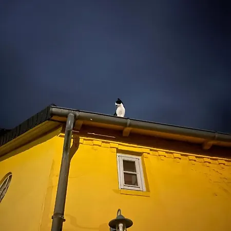 فندق Lindenhof Chezartistes *